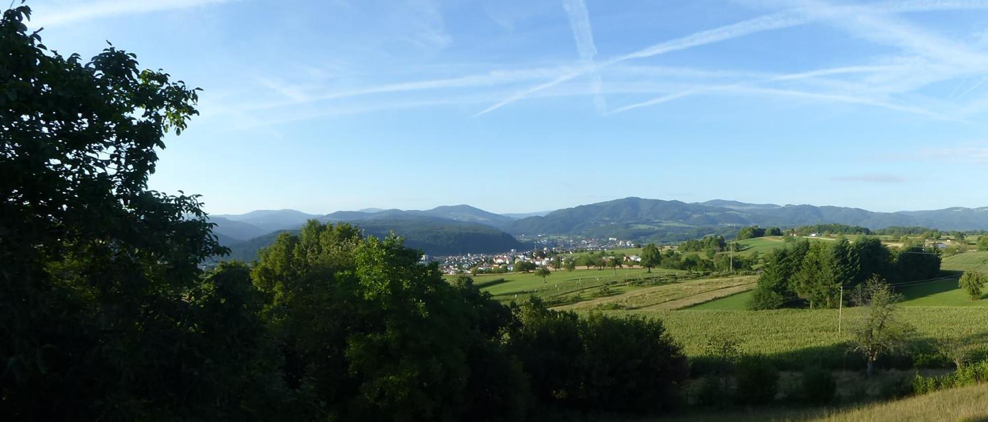 Hotel Hohe Flum Schopfheim Exterior foto